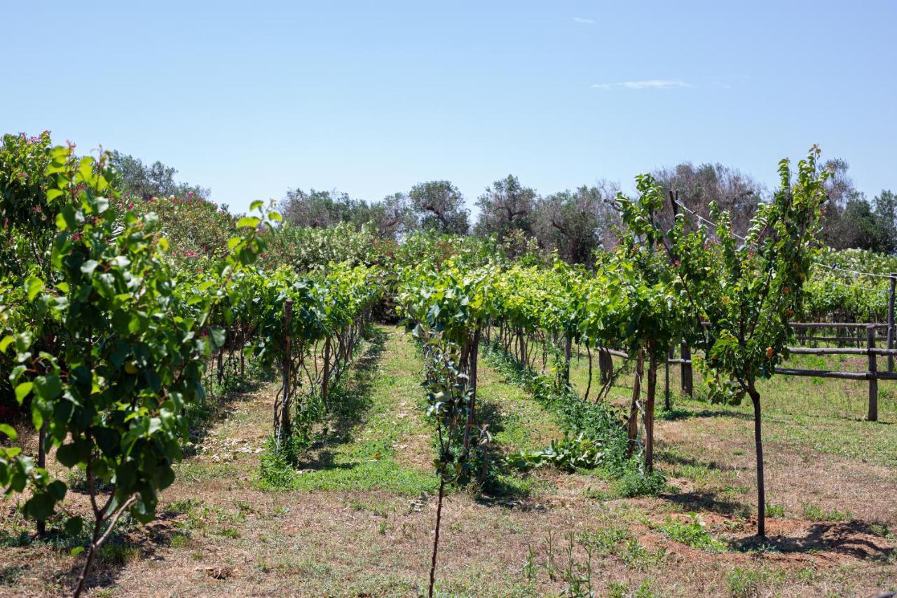 Masseria Messapia Wine Resort & Spa Salento Месане Екстериор снимка